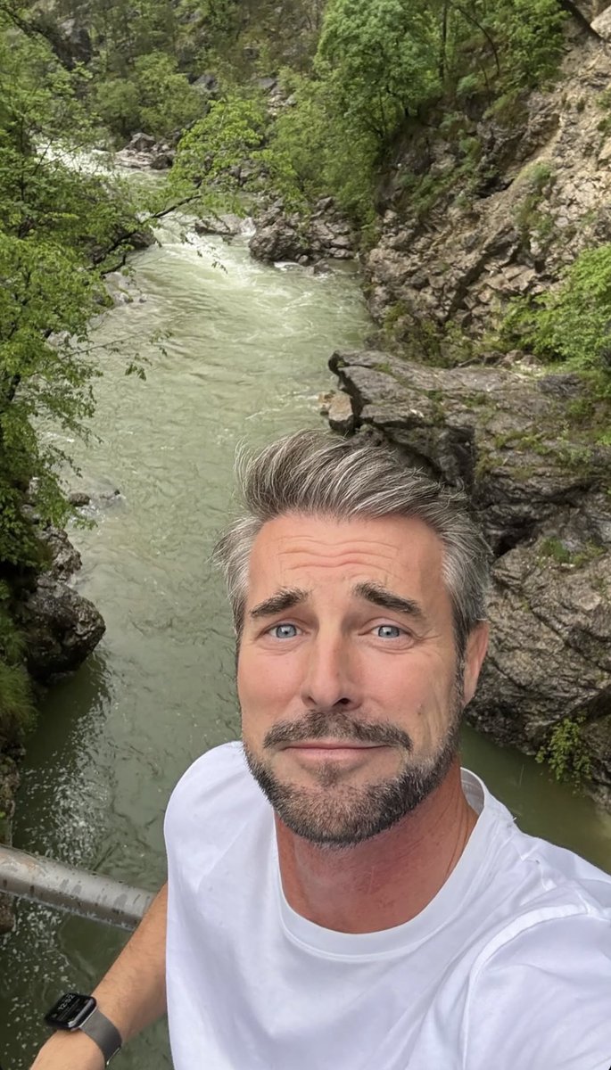 Cinguetterai  tweet media