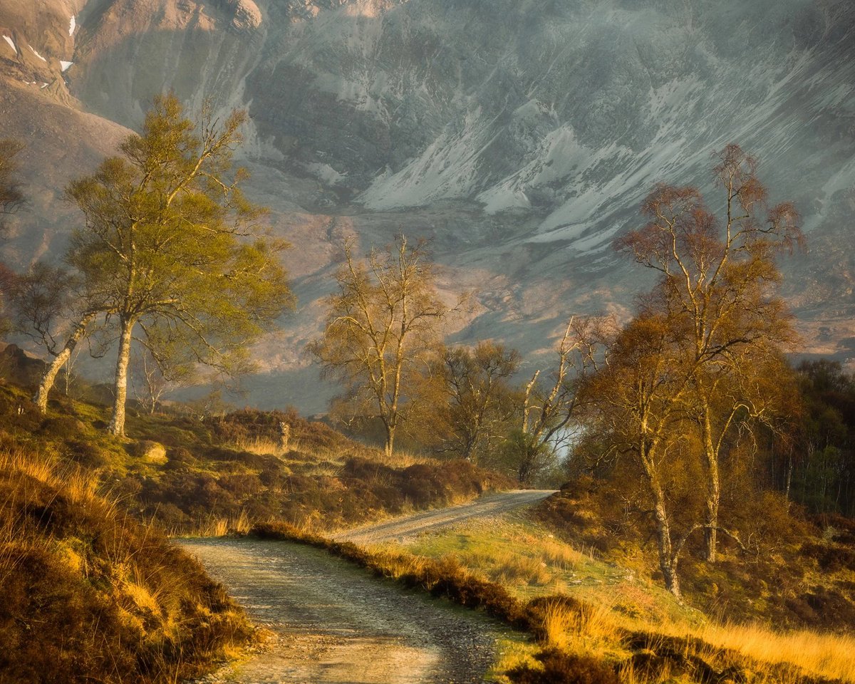 twistopherrobin's tweet photo. #Photography #Color #Landscape #MarkLittlejohn https://t.co/2cqlIfh0ax