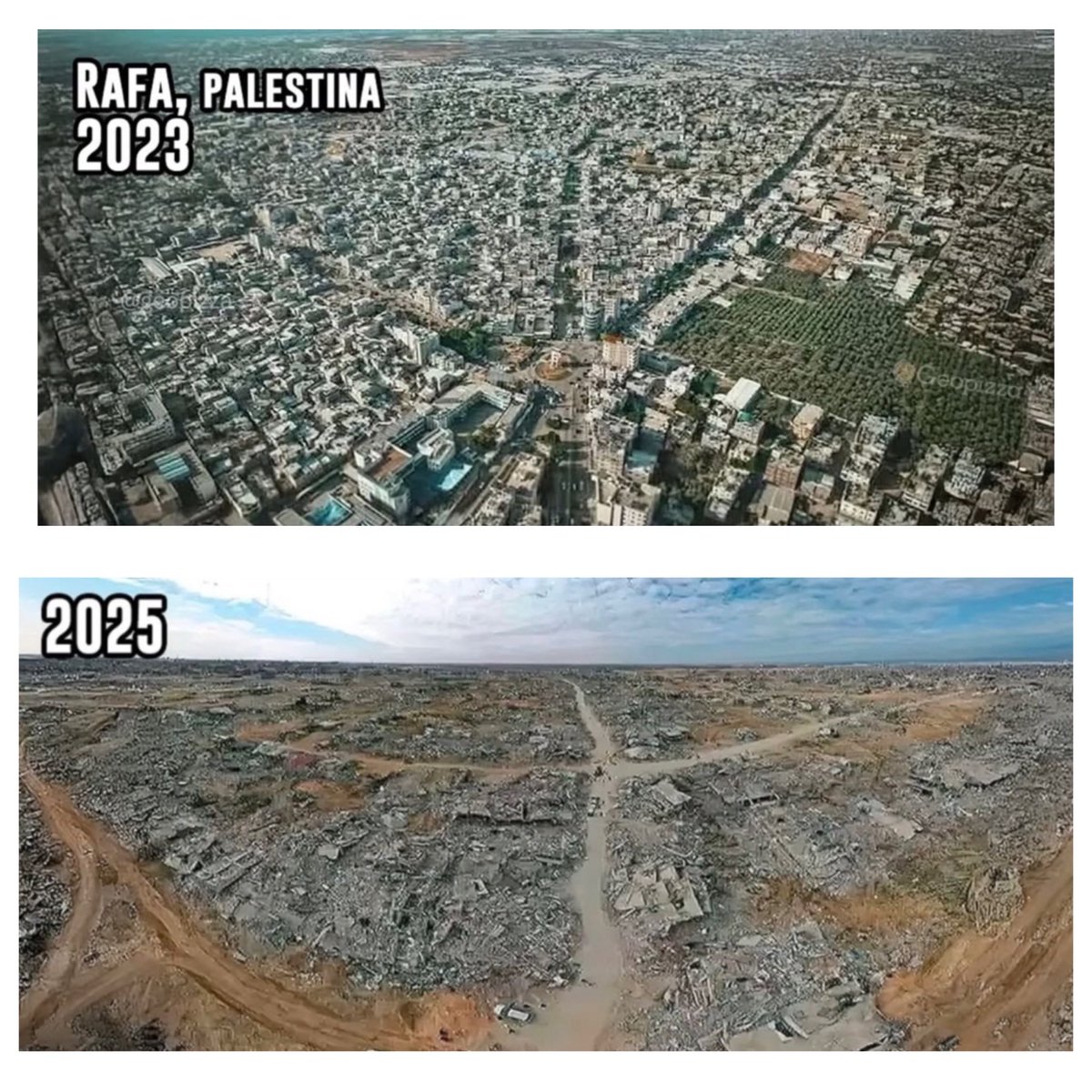 Timesofgaza's tweet image. Rafah 2025.