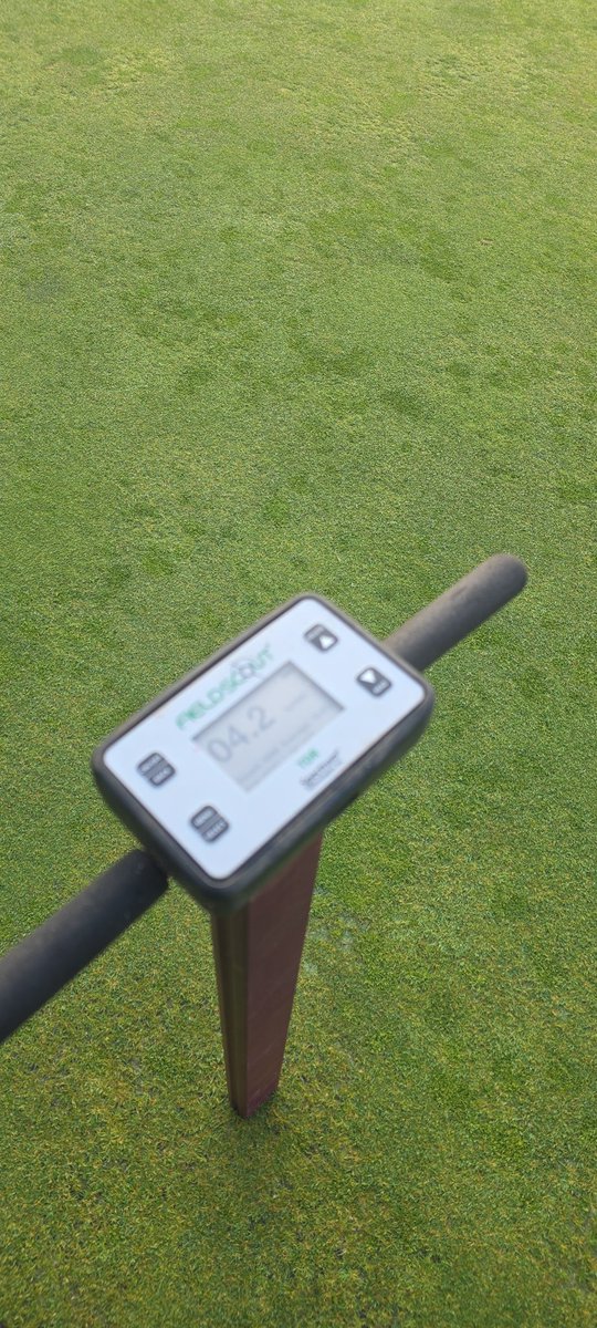 Nick (@nickpags_turf) on Twitter photo  Nick (@nickpags_turf) on Twitter photo