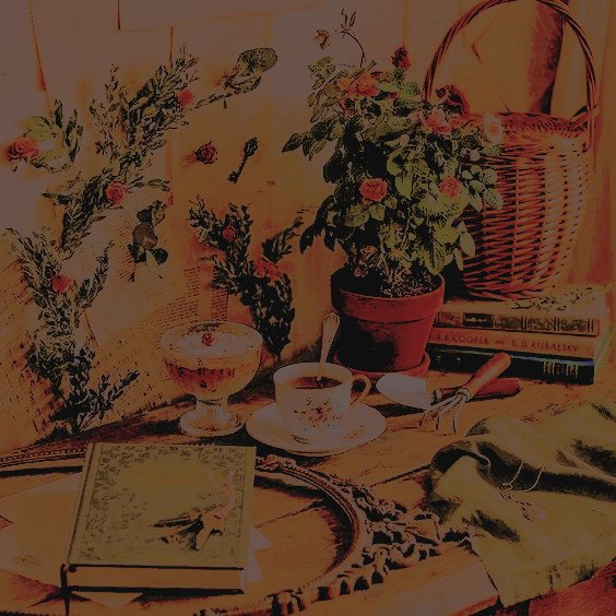 𝒗𝒊𝒄𝒌𝒊𝒆 𝒇𝒐𝒔𝒕𝒆𝒓. tweet media