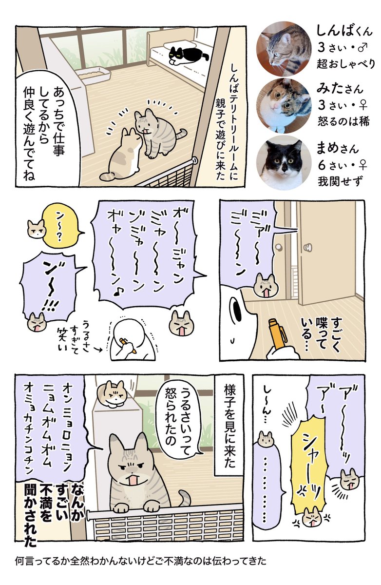 Neko娘⭐︎断捨離中　チェア Neko娘⭐︎断捨離中様専用 チェア