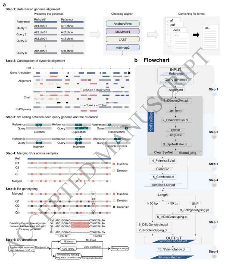 jsantoyo's tweet image. Accurate, scalable structural variant genotyping in complex genomes at population scales. #VariantGenotyping #StructuralVariants #PopulationScale #Genomics #Bioinformatics @MolBioEvol 
academic.oup.com/mbe/advance-ar…