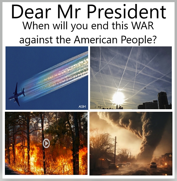 💯