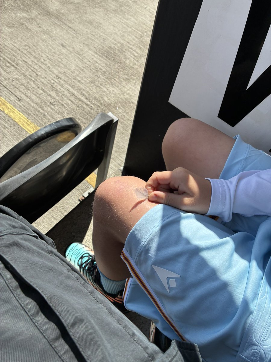 Always with us 🪽🧡🦁