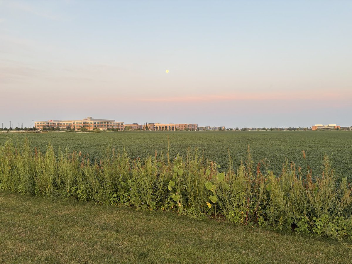 Good Morning.  Make it a Great Day.