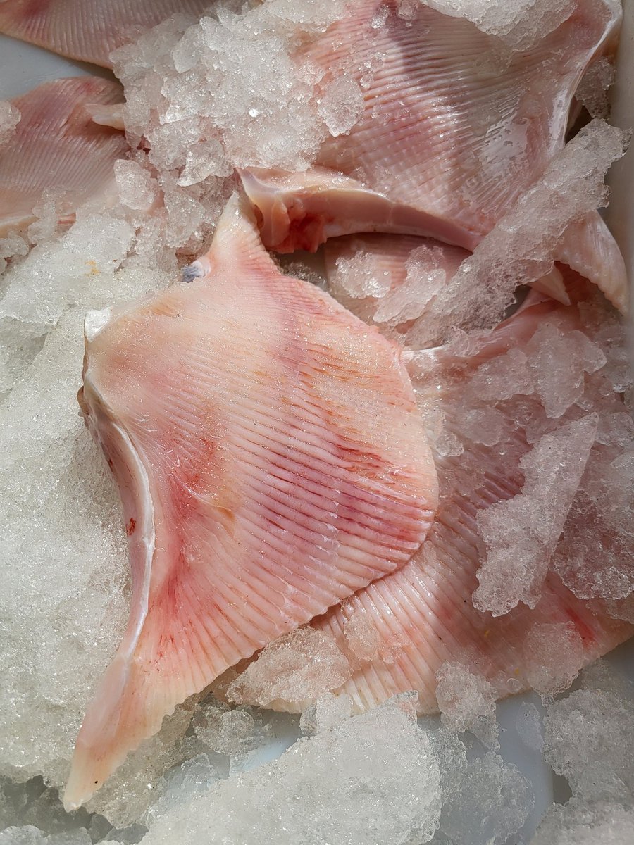 Doesn't get fresher or more local than this... Thanks for battling the weather Chelaris Fresh Fish! Great to have you back at Maryport Taste of the Sea 🌊