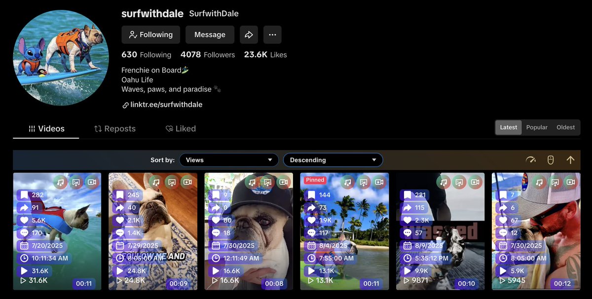 Dale | The Surfing Frenchie tweet media