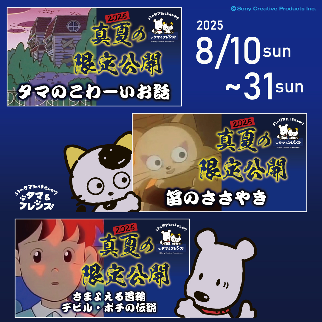 3丁目のタマ〜うちのタマ知りませんか？〜怖くて不思議な3部作
期間限定無料公開スタート！

・「タマのこわ～いお話」
・「笛のささやき」
・「さまよえる首輪／デビル・ポチの伝説」

ご視聴はこちらから
youtube.com/playlist?list=…

#うちのタマ知りませんか #タマアンドフレンズ #平成アニメ