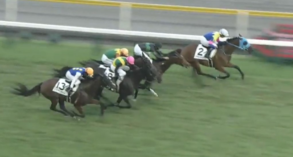 8月9日、当社育成馬サウンドリアン(牝3、美浦・和田正一郎厩舎、増田雄一様所有)が、新潟12R、3歳未勝利（芝1400m）で、勝ち上がりました！

増田様、和田正一郎厩舎の皆様、優勝おめでとうございました！
kimurabokujo.com/%e6%9c%a8%e6%9…