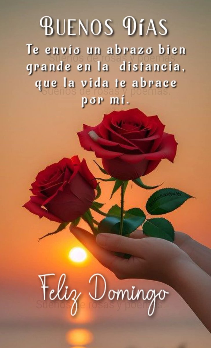 ๐ฉท ๐๐ โ๐ร๐ง๐ผ๐ซ ๐ฉท (@gabyalechavez) on Twitter photo Buenos, bonitos y gorditos, desveladosos, agradecidosos, ajetreadosos, cafesosos, agotadorosos, aniversariosos, frรญosos, casi septembrinosos, hambrientosos, contentosos y guapetosos dรญas, feliz doRRRmingoโผ๏ธ๐๐ป๐ผ๐ผ๐ซถ๐ปโ๏ธ๐โโฝ๐โบ๐
๐๐๐๐โพ๏ธ๐งฟ๐ฟ๐๐ป๐ฐ๐ฅ๐ค๐๐โค๐๐๐๐๐ค๐ฉถ๐ฉต๐ค๐ฉทโค๏ธโ๐ฅ๐ Buenos, bonitos y gorditos, desveladosos, agradecidosos, ajetreadosos, cafesosos, agotadorosos, aniversariosos, frรญosos, casi septembrinosos, hambrientosos, contentosos y guapetosos dรญas, feliz doRRRmingoโผ๏ธ๐๐ป๐ผ๐ผ๐ซถ๐ปโ๏ธ๐โโฝ๐โบ๐
๐๐๐๐โพ๏ธ๐งฟ๐ฟ๐๐ป๐ฐ๐ฅ๐ค๐๐โค๐๐๐๐๐ค๐ฉถ๐ฉต๐ค๐ฉทโค๏ธโ๐ฅ๐