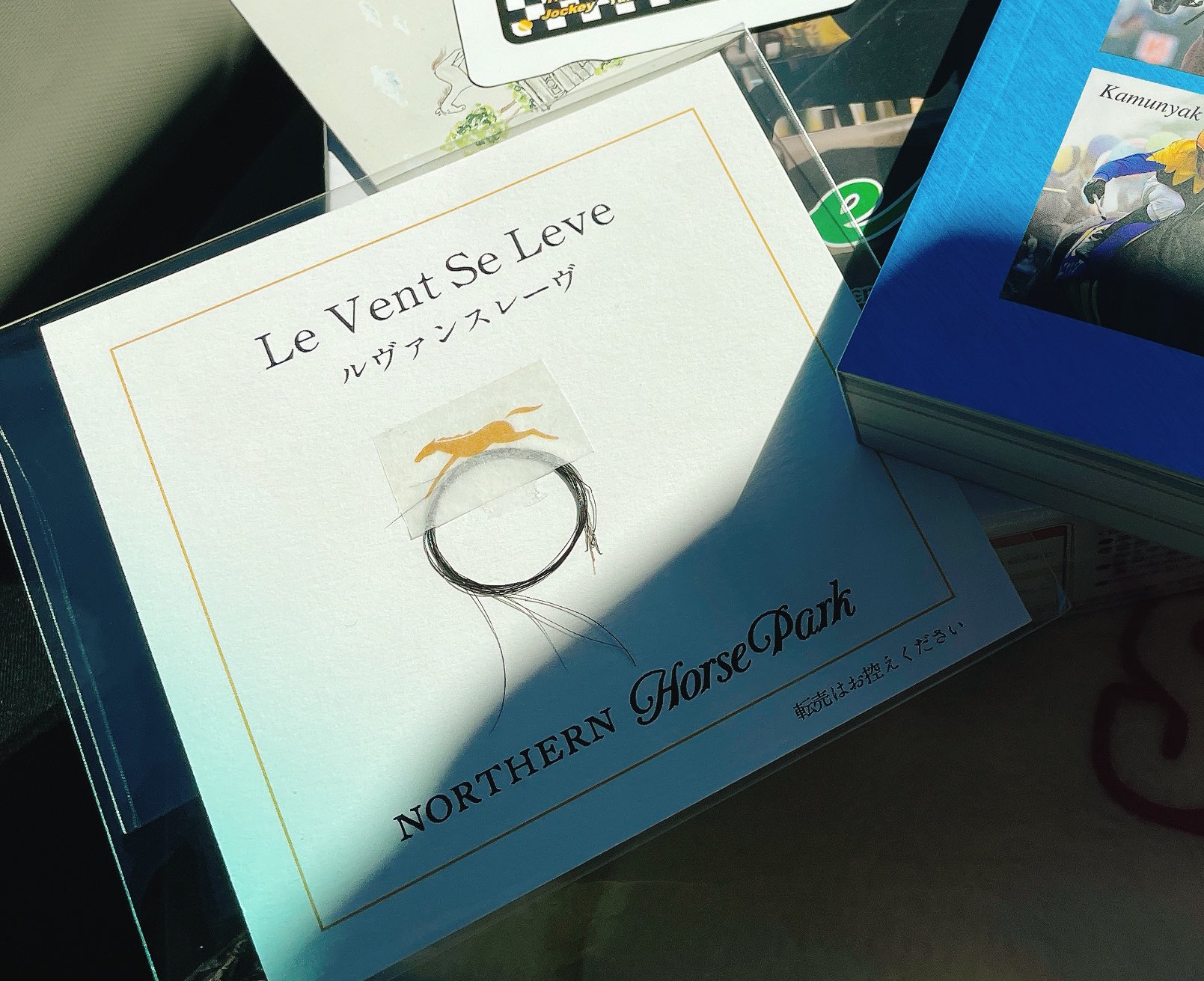 ルヴァンスレーヴ たてがみ 未来の競走馬に新種？ まるでアフロのよう