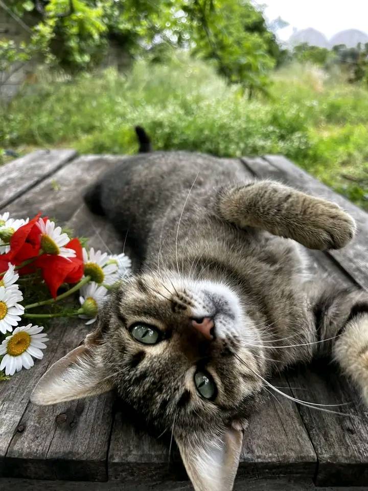 ВТ (@j4elcvtyg7mvziz) on Twitter photo 