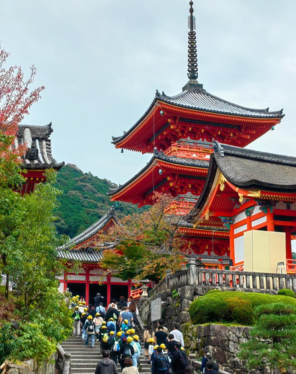 MacMcD81's tweet photo. 清水寺は778���に始まり、1633年に徳川家光が再建した。 清水の舞台の音羽の滝の長寿学業成就の名所。 https://t.co/ZItMu02aeg