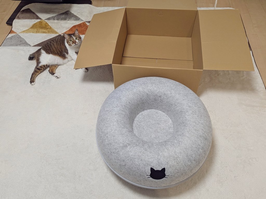 乗ってよし入ってよしのおもちゃが届いた日
乗らないし入らない