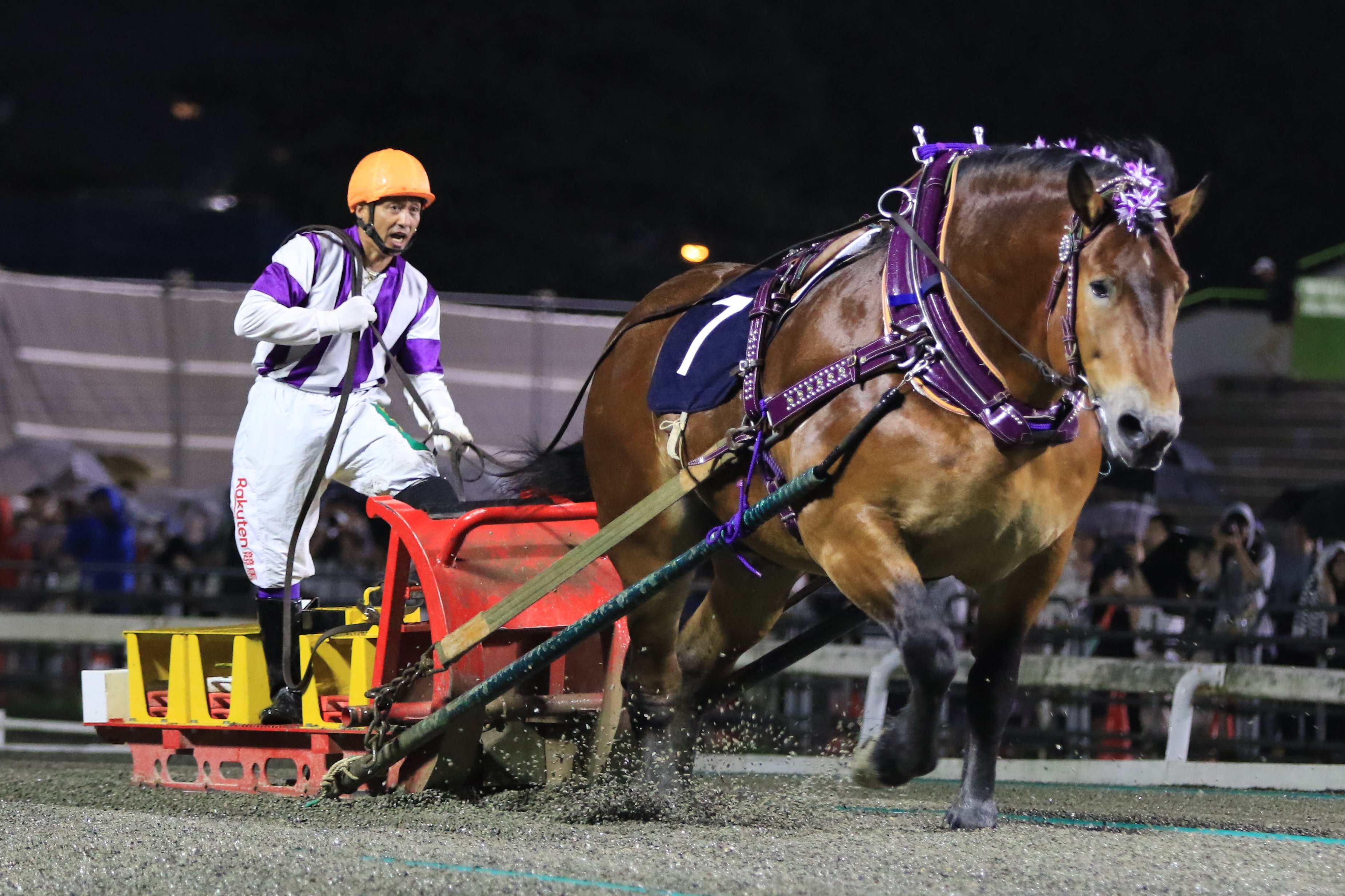 大幅値下げ中！【激レア】ばんえい十勝JRA騎手生サイン入りポスター 激レア】ばんえい十勝JRA騎手生サイン入りポスター 大幅値下げ中