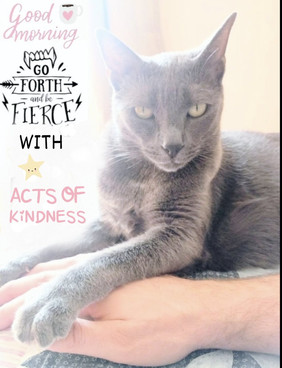 Dante (@mobyateahab) on Twitter photo Misty hopes that everyone has a peaceful Sunday ๐๐๐ผโจ
<a href="/DoctorStai/">Dr. Christina Stai, Psy.D.</a> <a href="/amorvincit127/">Faith ๐๏ธ๐ป๐ฆ๐ฟโ๏ธ</a> <a href="/dsrjheart/">Deborah</a> <a href="/MMV747/">MVโจโจโจโจโจโจโจโจ๐ซ๐ซ๐ซ๐ซ๐ซ๐ซ</a> <a href="/88choppertime/">๐๐๐๐๐ โจ๐ผโ๐โ ๐/๐๐๐</a> <a href="/ArcaneShip/">Aura</a> <a href="/AnnetteMattsMom/">Annette D</a> <a href="/RockyRaccoon222/">๐ก๐ช๐ฌ๐ฑ๐ฎ๐ต ๐ฆ</a> <a href="/Nance726/">The Honey Badger</a> <a href="/CaraMiaSG/">Cara Mia๐ท๐๐ปโโ๏ธ</a> <a href="/Cherryv64539/">@Cherryv_692</a> <a href="/kateMurphy2209/">kate 1 ๐ด๓ ง๓ ข๓ ท๓ ฌ๓ ณ๓ ฟ</a>
<a href="/katiewaissel24/">Katie Waissel</a> <a href="/LiannaAdams/">Lianna-Adams.eth|tez โจ humanity-first culture</a> <a href="/Dominiq7angels/">Dominique of 7</a> <a href="/JHakeem7/">Hakeem</a> <a href="/Josh_Stai/">Josh Stai</a> Misty hopes that everyone has a peaceful Sunday ๐๐๐ผโจ
<a href="/DoctorStai/">Dr. Christina Stai, Psy.D.</a> <a href="/amorvincit127/">Faith ๐๏ธ๐ป๐ฆ๐ฟโ๏ธ</a> <a href="/dsrjheart/">Deborah</a> <a href="/MMV747/">MVโจโจโจโจโจโจโจโจ๐ซ๐ซ๐ซ๐ซ๐ซ๐ซ</a> <a href="/88choppertime/">๐๐๐๐๐ โจ๐ผโ๐โ ๐/๐๐๐</a> <a href="/ArcaneShip/">Aura</a> <a href="/AnnetteMattsMom/">Annette D</a> <a href="/RockyRaccoon222/">๐ก๐ช๐ฌ๐ฑ๐ฎ๐ต ๐ฆ</a> <a href="/Nance726/">The Honey Badger</a> <a href="/CaraMiaSG/">Cara Mia๐ท๐๐ปโโ๏ธ</a> <a href="/Cherryv64539/">@Cherryv_692</a> <a href="/kateMurphy2209/">kate 1 ๐ด๓ ง๓ ข๓ ท๓ ฌ๓ ณ๓ ฟ</a>
<a href="/katiewaissel24/">Katie Waissel</a> <a href="/LiannaAdams/">Lianna-Adams.eth|tez โจ humanity-first culture</a> <a href="/Dominiq7angels/">Dominique of 7</a> <a href="/JHakeem7/">Hakeem</a> <a href="/Josh_Stai/">Josh Stai</a>