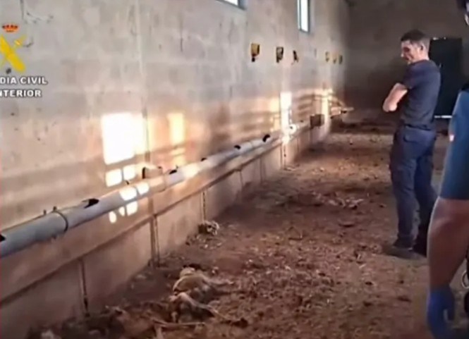 📣MALTRATO ANIMAL📣
El responsable de la muerte por inanición de 32 perros en #Azuaga, #Badajoz A.S. cazador realero, contempla  impasible el resultado de su delito cruel. Un sociópata peligroso, uno de los vuestros. 
<a href="/jocaexfedexcaza/">𝐉𝐎𝐂𝐀𝐄𝐗</a> <a href="/ArrecalCaza/">Arrecal</a> <a href="/fedexcaza_/">Fedexcaza</a>
#laverdaddelacaza