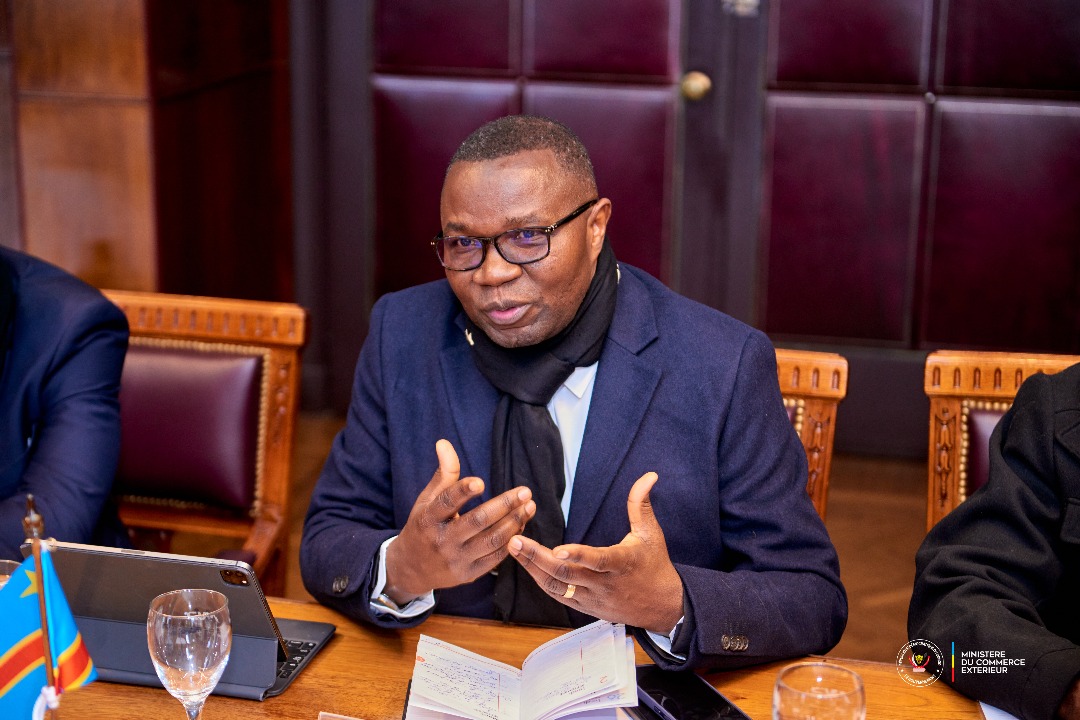 Dimanche, Brasilia 2025
Réflexion-dossier 006 du 10-08

La RDC EN QUÊTE DU MARCHÉ SUD-AMÉRICAIN : Comprendre le MERCOSUR 

1. L'#Afrique a adopté l'Accord sur la Zone de Libre Échange Continentale Africaine(#ZLECAF) qui est entré en vigueur le 30 mai 2019;
2. L'objectif étant de