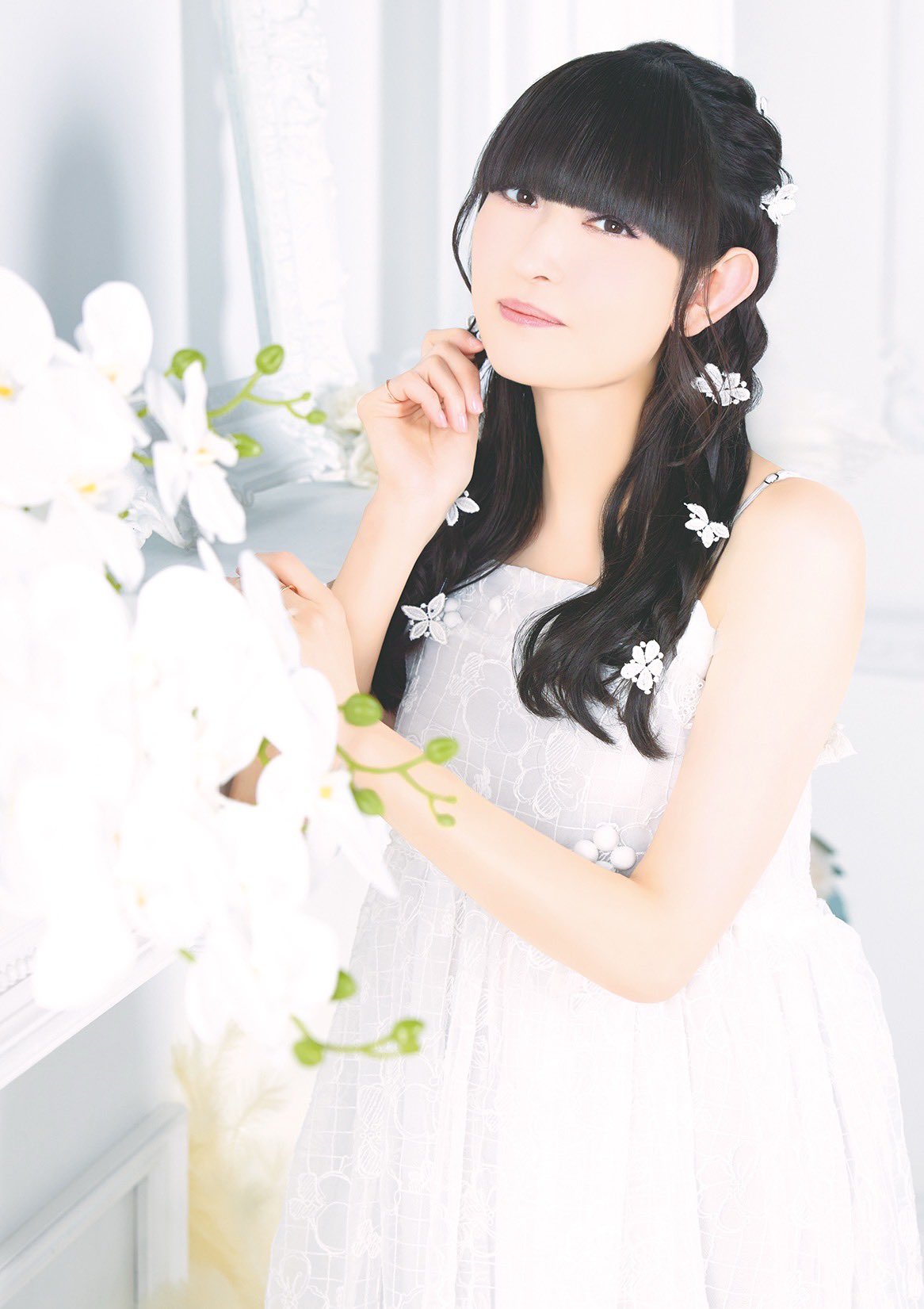 ティモうさ。黒色(田村ゆかり)購入希望の方コメントへ テイチクエンタテインメントJ-POP💿 on X: 