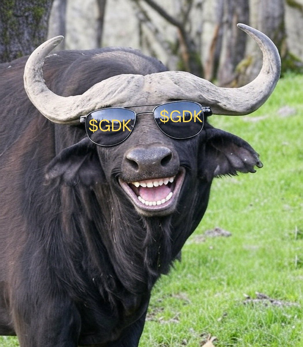 What project are you bullish on?
@GoldenDonkey is building to last 
$GDK Sunday to you fam
- Stay glued 
- Stay giggy