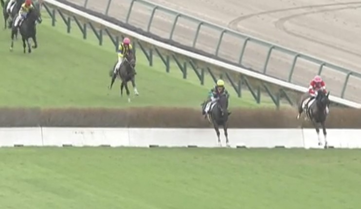 8月10日、当社育成馬ディープレイヤー(牡6、美浦・大和田成厩舎、嶋田一成様所有)が、中京1R、障害3歳以上未勝利（障害3000m）で、障害転向後、初勝利を挙げました！

嶋田様、大和田成厩舎の皆様、優勝おめでとうございました！
kimurabokujo.com/%e6%9c%a8%e6%9…