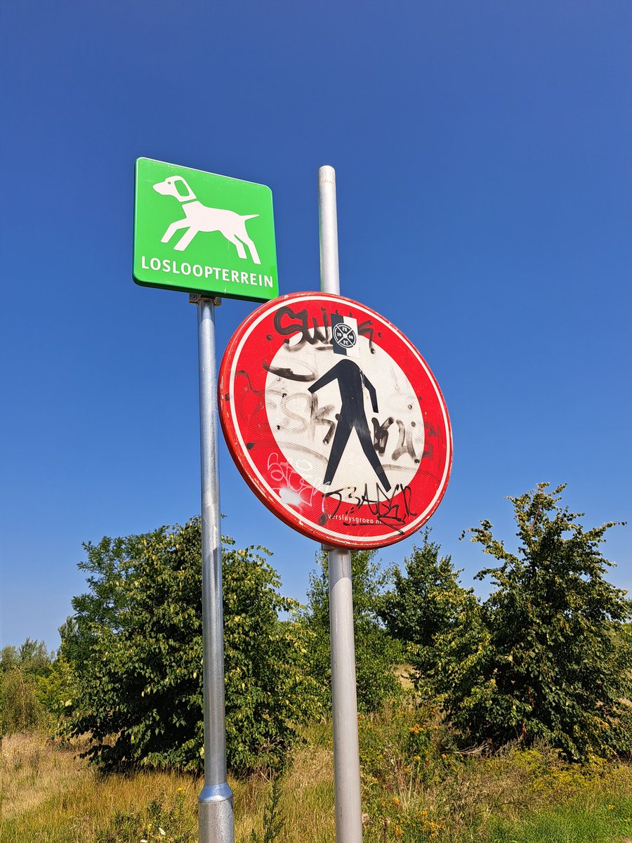 Gezien in Vlaardingen. Echt waar he!