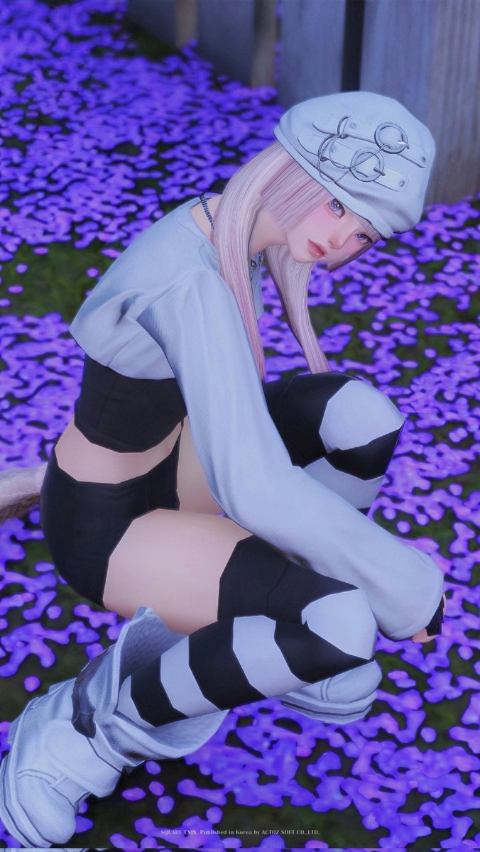 셀케트 (๑ơ₃ơ)♥ tweet media