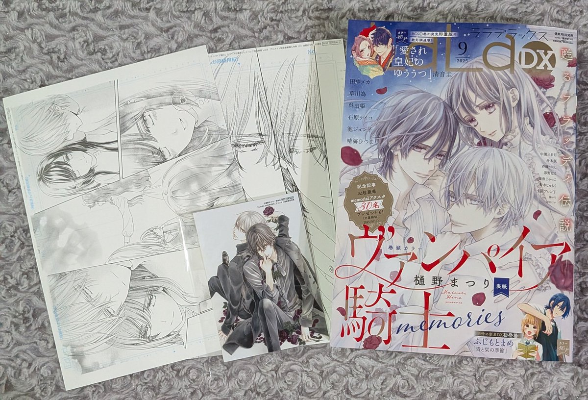 先日LaLaDX引き取ってきてやっとヴァンパイア騎士最終回読めた。とても