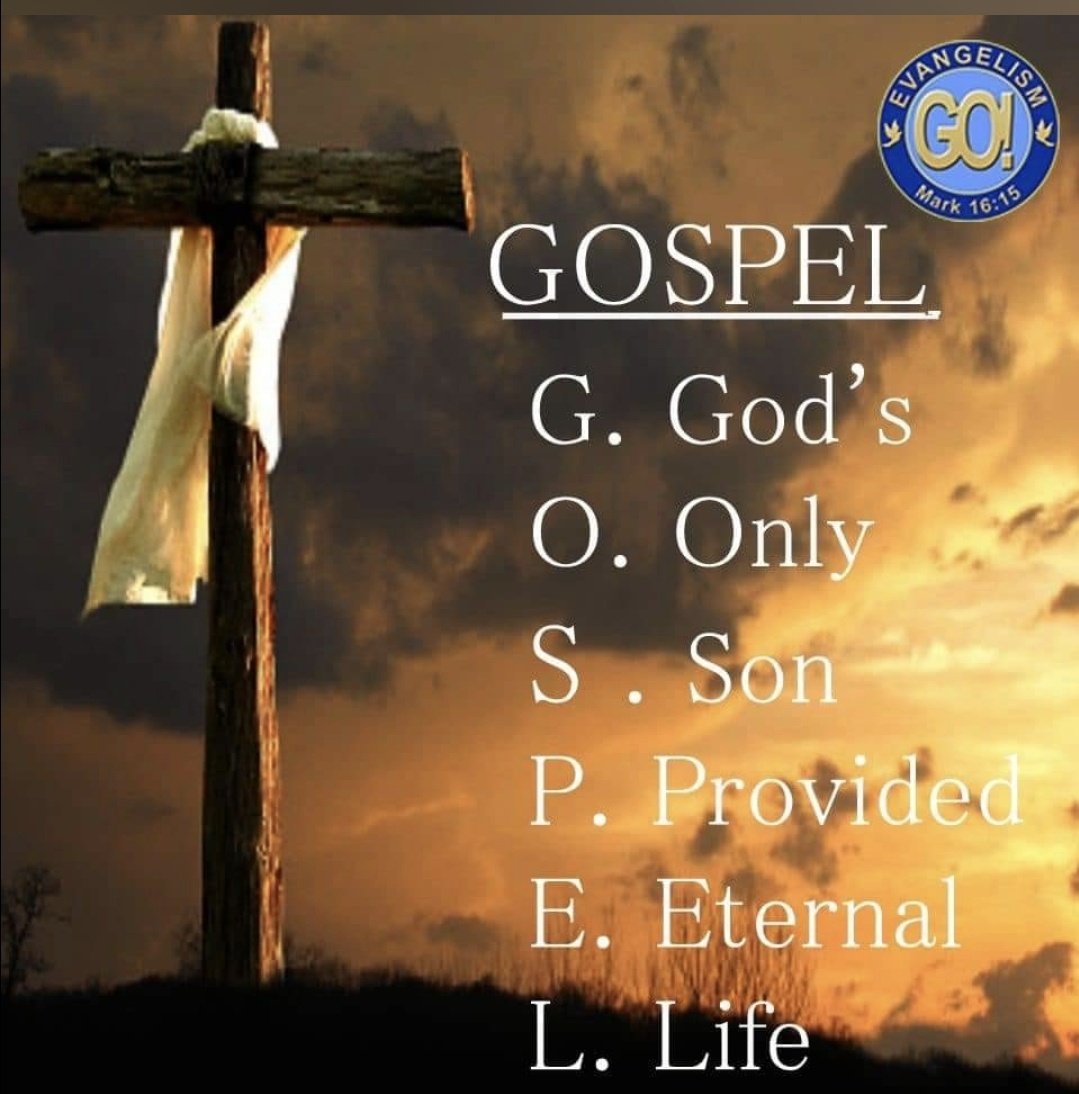 🇺🇸 Oh Hey It's Me ❤🤍💙 (@brown_eyed_gal1) on Twitter photo 