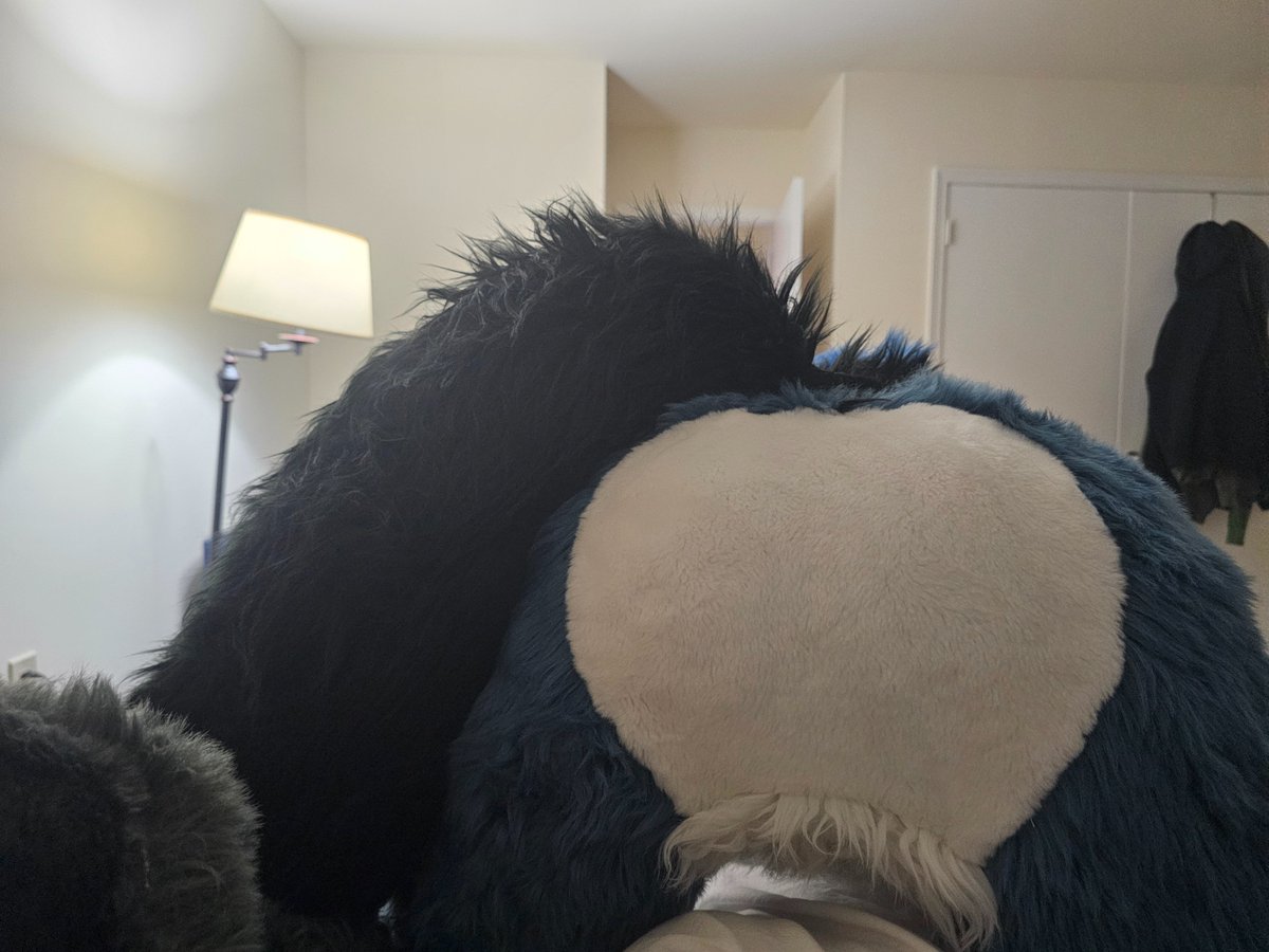 🐶✨️Star✨️🏳️🌈 (@staradder8) on Twitter photo Sit back and enjoy the view! You  may gently squish and rub if you want too. 
#furryfandom #fursuitbutt Sit back and enjoy the view! You  may gently squish and rub if you want too. 
#furryfandom #fursuitbutt