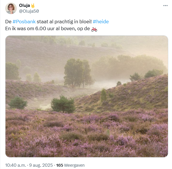JoostJansen6's tweet photo. @NUnl 'Bloeiende paarse heide steeds lastiger te vinden door te veel stikstof'
Ik kom niet meer bij. Check deze posts van gisteren en vandaag. https://t.co/5LakrAkEys
