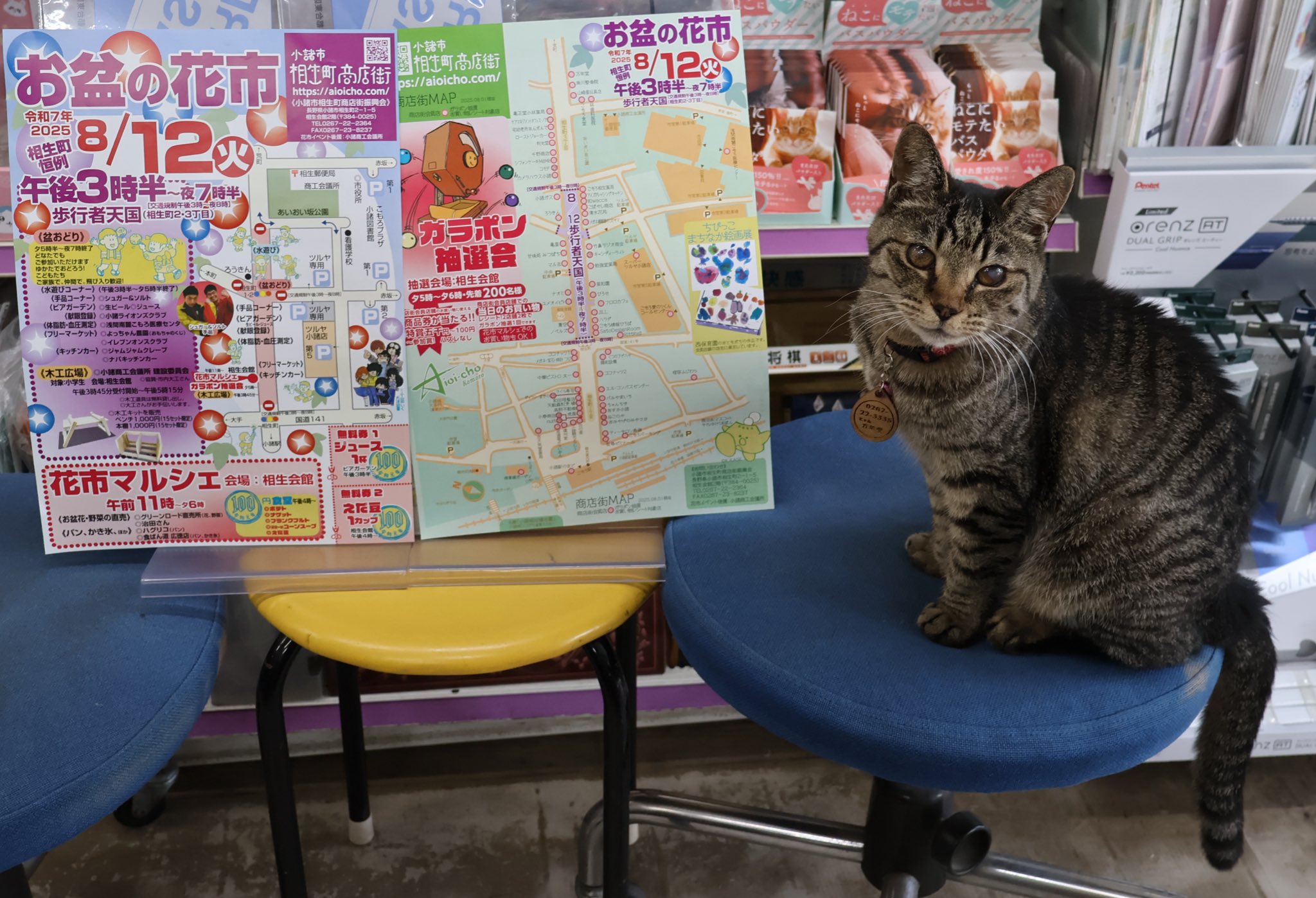 ちびねこ　準備中 にゃんこ大戦争】ちびネコ大試練 +Lv60解放への道をレベル40以下