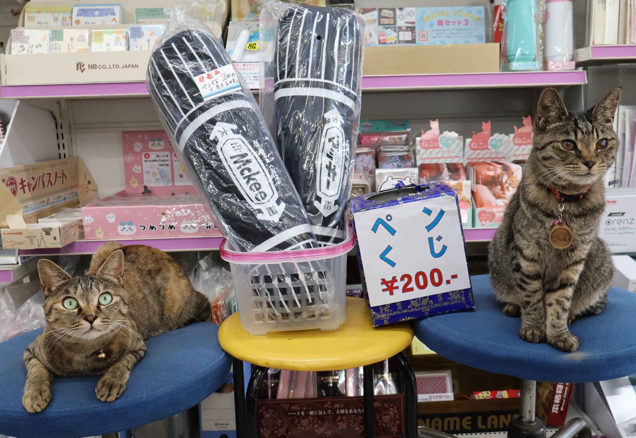 ねこ侍 テレビ・映画「猫侍（ねこざむらい）」 商品化決定！雑貨