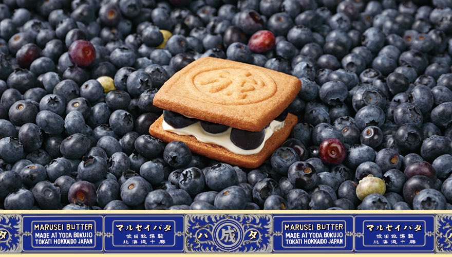 ところで北海道の人ってこのマルセイバターサンド（ブルーベリー）を気軽に食べられるのですか？愛はコンビニでも買えるけれどの愛ってこれのこと？いやコンビニに六花亭はないよね、食べたすぎるよ
