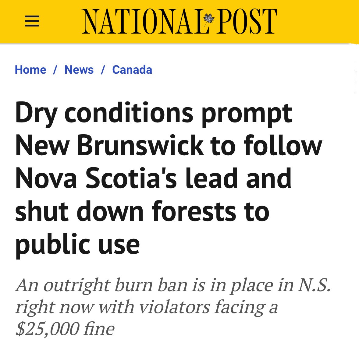 Dr. Leslyn Lewis tweet media