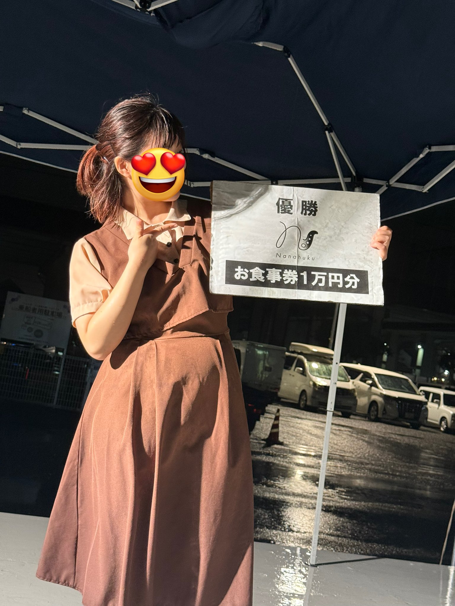 ふーか Ermax(アルマックス) Z650RS 2022-2025 スクリーン付きビキニ