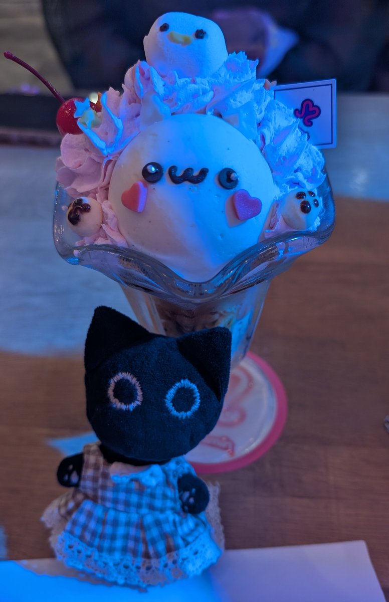 ✮*｡ﾟ🐱 ·̩͙꒰ঌ💙 * ꒱·̩͙  *｡ﾟ