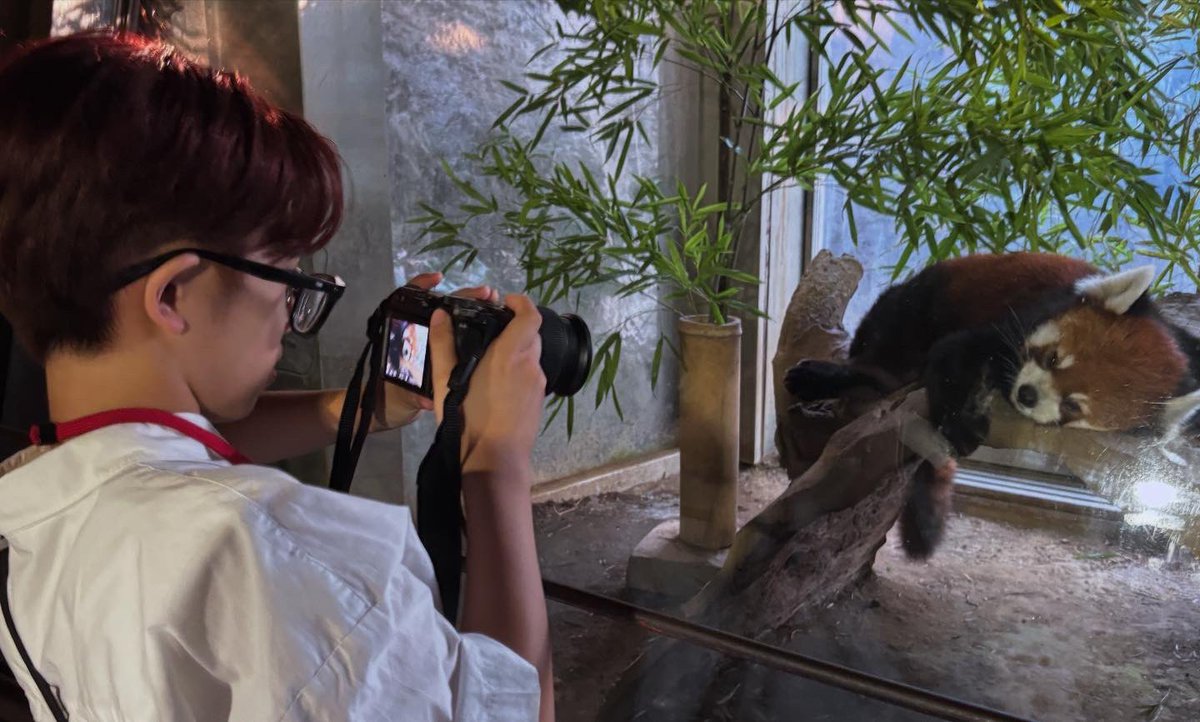 setodesign's tweet photo. ナイトズーラシア🦁はやっぱり楽しい。
現在、幻の動物オカピは、金沢動物園&ズーラシアにしかいません😮!
setoデザインのパネルは、オカピ獣舎にあります。暗くてちょっと見辛いけど😅
夏☀️のよこはま動物園ズーラシアへぜひ!
#教育普及 #コミュニケーションデザイン
#setodesign #横浜 https://t.co/5WY6rOvGLZ