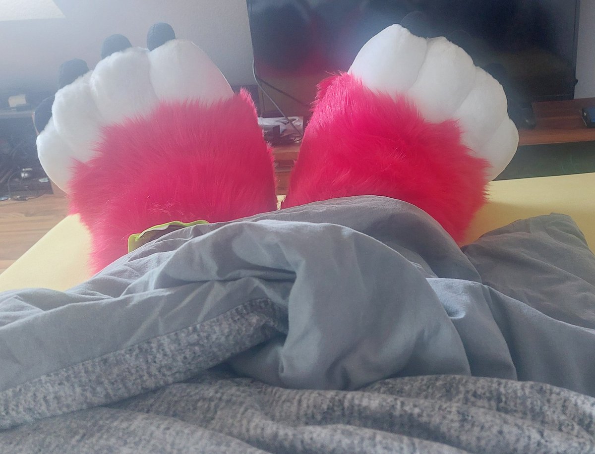 Circuit_Wolfy's tweet image. When you wake up and suddenly feeel different #furry #fursuit