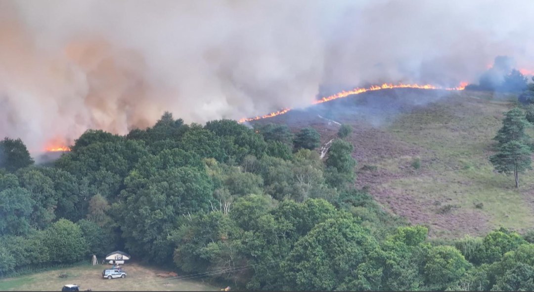 Scott 🇬🇧 tweet media