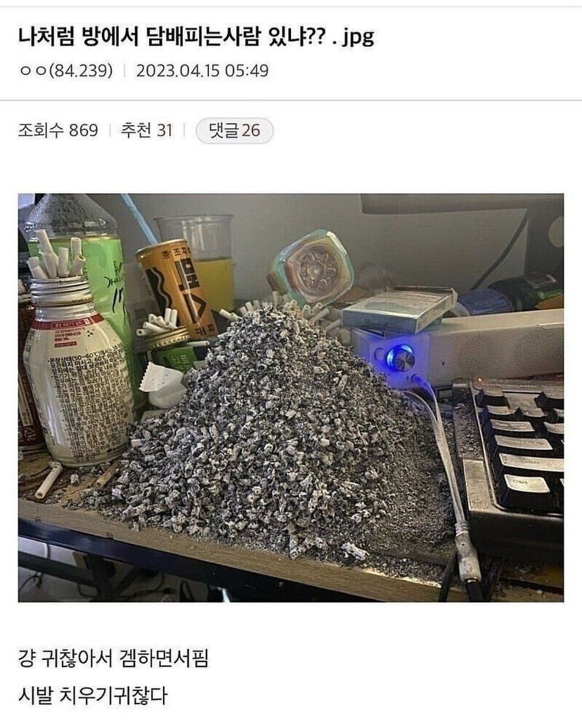 사람아니야 (@sshipchive) on Twitter photo 