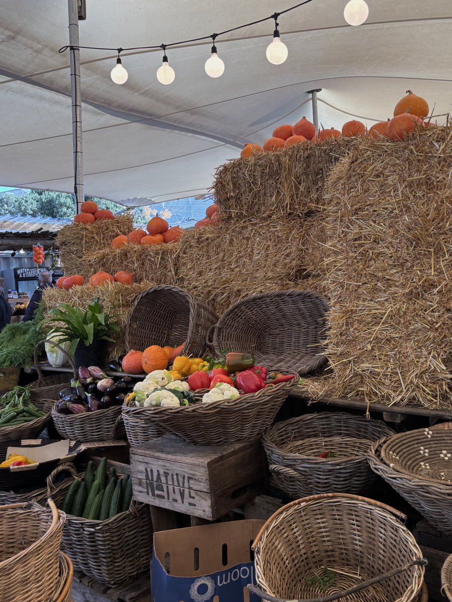 youngtragedi's tweet photo. weekly farmers market trip https://t.co/XmdMy201Nn