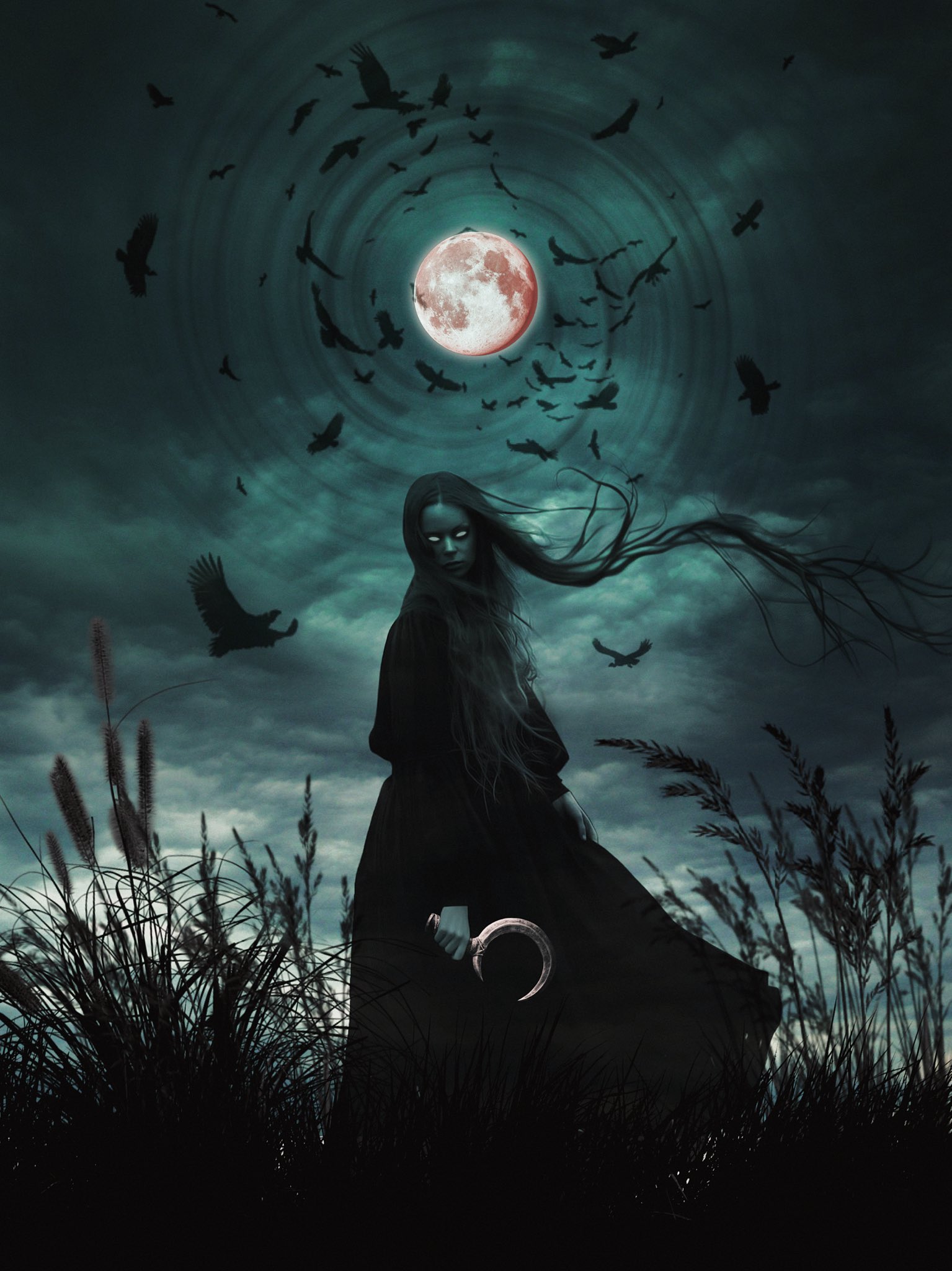 「MOON.」CLARITY ART 81v5AzUEldL._UF350,350_QL50_.jpg