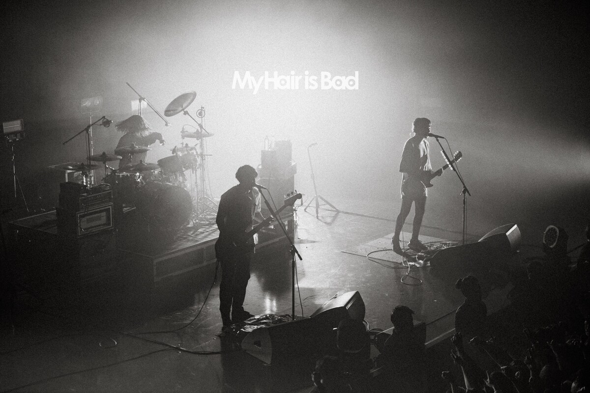 ぷんぷん　My Hair is Bad tours ぷんぷん My Hair is Bad tours TOURS/My Hair is Bad｜PUNK｜ディスク