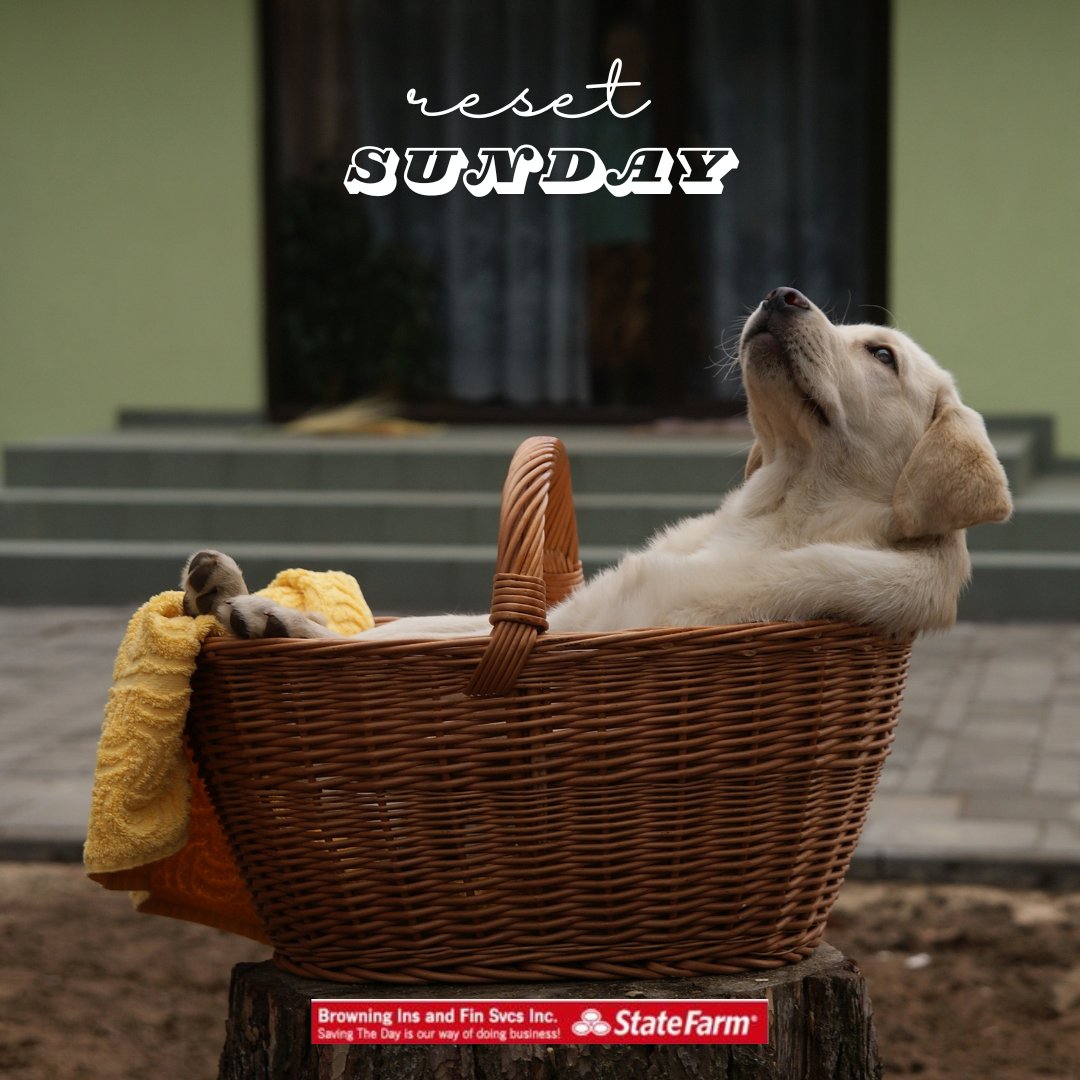 St8frmgrl's tweet image. Happy Sunday! 
.
#sunday #funsunday #resetsunday #yorkcounty