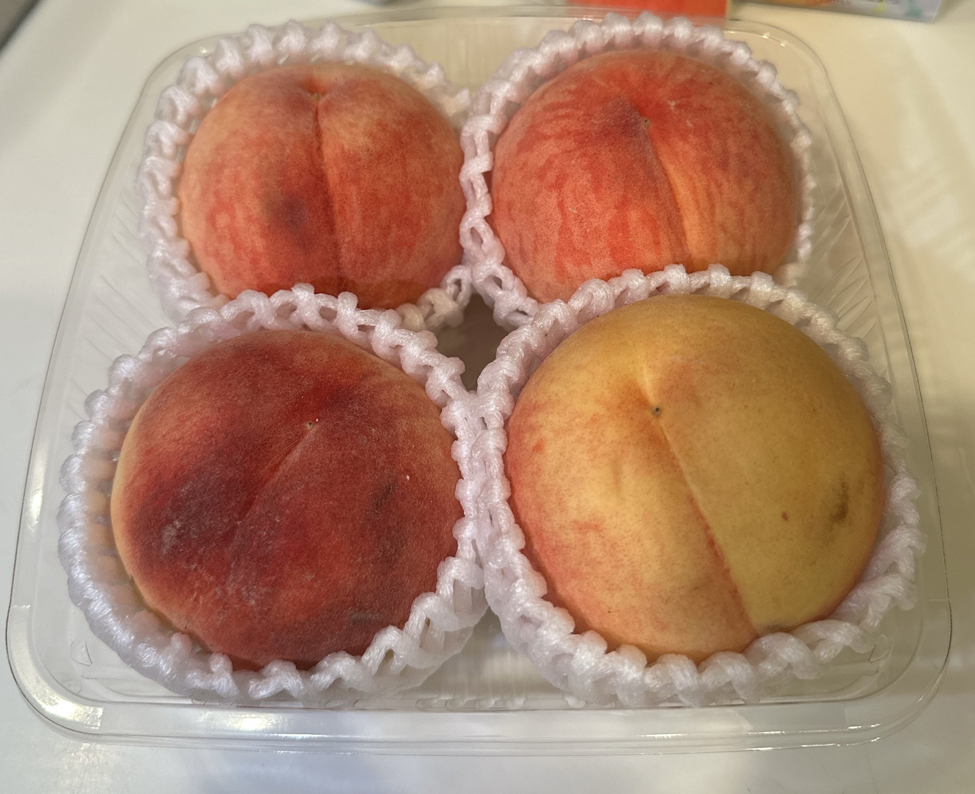 みるくです。他の方のご購入はお控え下さい。 6点までメール便280円対応】アンクル ソックス014 スニーカー
