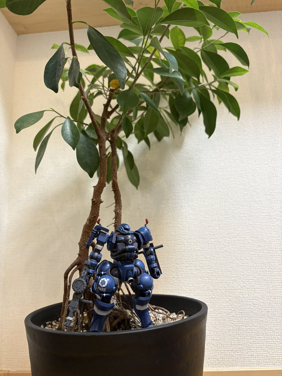 sleepingmicmac's tweet photo. 軍警ザク完成！！ https://t.co/0JHF94qQLO