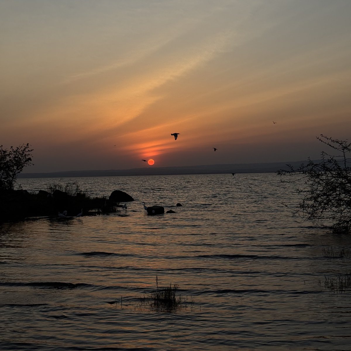 Gamal Jamil (@gamalbrb) on Twitter photo 