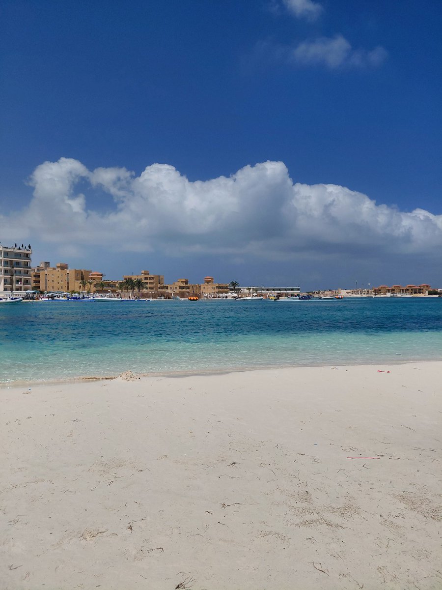 Mohamad Alaa 🎭 (@_bo3la2_) on Twitter photo 